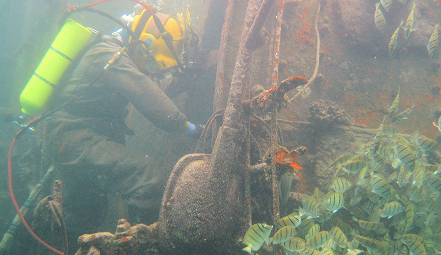 Palmyra Atoll Dive