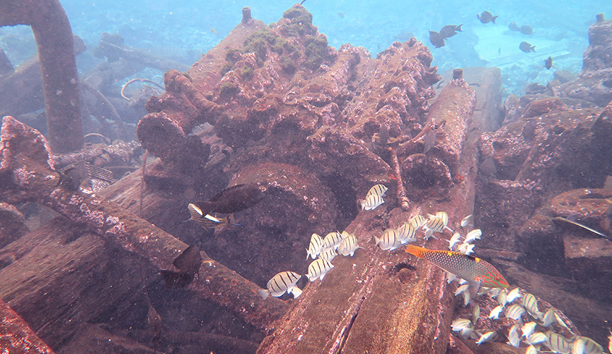 Palmyra Atoll - Kingmen Shipwreck Salvage