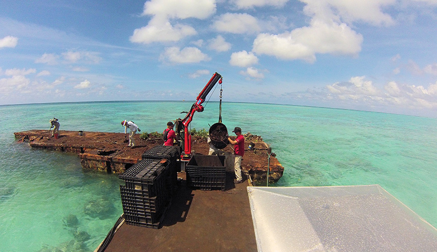 Palmyra Atoll Rust Island Clean Up